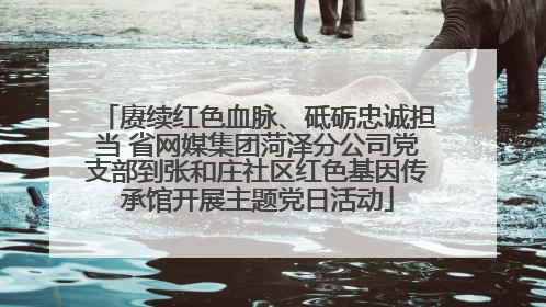 赓续红色血脉、砥砺忠诚担当 省网媒集团菏泽分公司党支部到张和庄社区红色基因传承馆开展主题党日活动